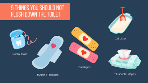 What Can and Can't Be Flushed Down the Toilet?