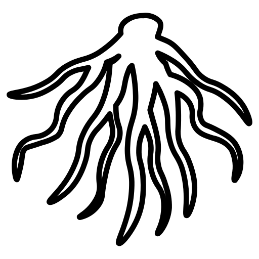 rooticon